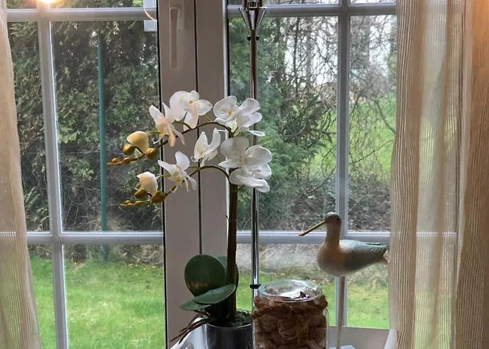 Nele 02 Appartamento Zingst